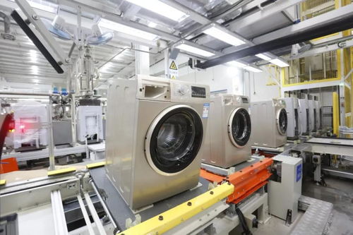 中國洗衣機行業新王者 本土品牌憑互聯網銷售逆襲，占據四成市場份額